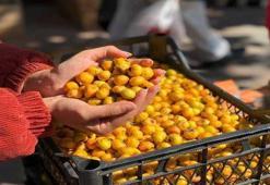 Herkes sirkesini yapıyor ama marmelatı daha faydalı! Meğer böyle tüketmek en doğrusuymuş