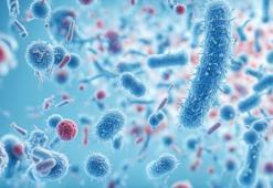 Yaz aylarında alınmış enfeksiyonları kış aylarına taşımayın