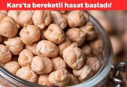 Kars'ta hasadı başladı! Çevre illere kilo kilo satılıyor: Yemeğini yapıp kaşık kaşık yiyebilirsiniz