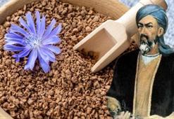 İbn-i Sina'nın favori bitkisi: Karaciğere resmen reset atıyor! Kemik erimesini engelliyor, yol kenarından bile yetişiyor!