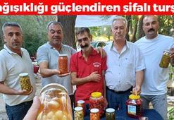 Malatya'da turşusunu yapıp şifa dağıtıyor! Doğal antibiyotik, iltihabın kökünü kurutup bağışıklığı fişek gibi yapıyor!