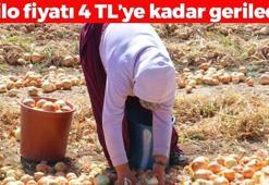 Kışlık hasat başladı, kilosu 4 TL'ye düştü! Tıkalı damarları yağ çözücü gibi açıp boğazdan mikrobu söküp alıyor! Kan şekerini anında dengeliyor