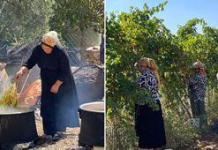 Şanlıurfa'da lezzet dolu yolculuk başladı! Mezopotamya'nın verimli topraklarında yetişiyor