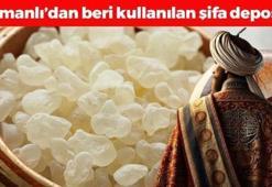 Osmanlı tatlılarının gözbebeği! Gaz, şişkinlik ve hazımsızlığın kökünü kazıyor, balgam, hırıltı ve öksürüğü bıçak gibi kesiyor!