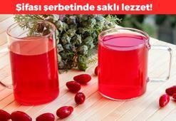 Lokman Hekim'in kitabından çıkan şifa! Herkes marmelatını yapıyor ama asıl şifa şerbetinde: Kan basıncını dengeliyor, bardak bardak içince şekere iyi geliyor