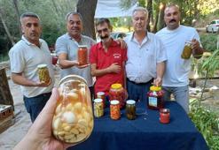 Malatya’da üretiliyor, tüm Türkiye konuşacak!Doktorların da dikkatini çekti: Damarda biriken kolesterole yağ çözücü etki gösteriyor