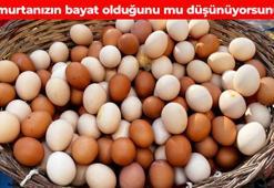Yumurtanın taze olup olmadığını anlayın! Basit bir testle sonucu hemen öğrenebilirsiniz
