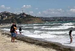 Tatilcilere kötü haber! Sultanköy Plajı'na girmek yasaklandı