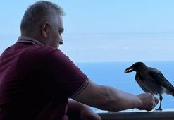 Fındık ikram ettiği karga Şakir’e gözü gibi bakıyor: Benim 2 oğlum var, Şakir de 3’üncü oldu