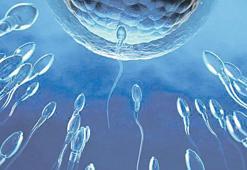 Turbo üreme teknolojisi