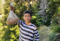 5'inci sınıf öğrencisi ormanda buldu! Kilosunu 5 bin liraya satıyor