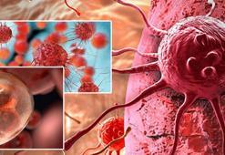 İnsan ömrü arttıkça kanser riski de artıyor! Süt ürünü tüketirken 2 kere düşünün