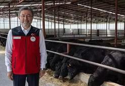 Bakan Yumaklı: Türkiye'deki hayvan sayısında artış yaşandı