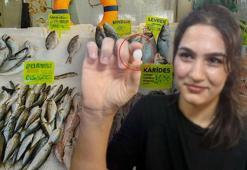 Şifalı olduğuna inananlar kiloyla satın alıyor! Balık 650, başındaki taş 10 bin TL