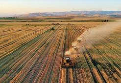 Bakan Yumaklı: Destek ödemesi çiftçilerin hesaplarına aktarılıyor