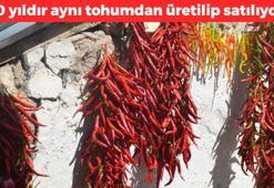 160 yıldır aynı tohumdan üretiliyor! Elle tek tek toplanıp kurutuluyor: Tıkalı damarları genişletiyor, kolesterole iyi geliyor, kan dolaşımını hızlandırıyor