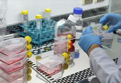 Türkiye'nin ilk yerli SMA ilacı Ar-Ge Merkezi'nde geliştirilecek