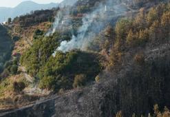 Antalya'da orman yangını! Çok sayıda konut tahliye edildi