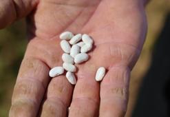 Kar suyuyla yetiştirildi! Kilosu 100 TL'den satılacak: Çinko, potasyum ve folat zengini