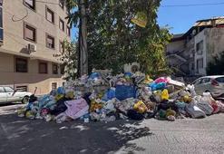 İzmir’de sokaklar doldu, halk isyanda! ‘Fareler de ortaya çıktı'