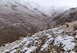 Van'da eylül ayında kar sürpriz! Mahalleli şaşkına döndü