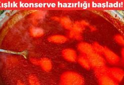 Ağrı'da ter döken mesai başladı! Tüm yıl bozulmadan saklanan tek besin: Kazanda saatlerce kaynatılıyor: 1 kaşığı yemeğin lezzetini 10 kat artırıyor