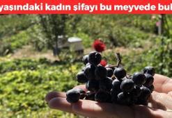 51 yaşındaki kadın bu meyveyle şifa buldu şimdi ücretsiz dağıtıyor! Türkiye'de nadiren biliniyor: Kalp hastalığına iyi geliyor