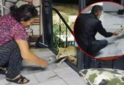 Tilki ile Özbek ailesinin 2 yıllık dostluğu görenleri gülümsetiyor