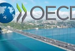 OECD, Türkiye için büyüme tahminlerini revize etti
