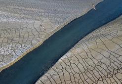 Coğrafyanın Zamanla Değişen Yüzü: Erozyon, Depremler ve İnsan Etkisi