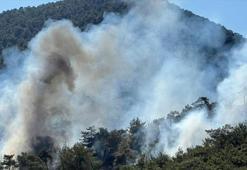 Gaziantep’te çıkan orman yangını söndürüldü