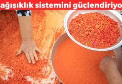 Gelenekten gelen güç! Sonbaharda yapıp kış boyunca tüketiyorlar: Boğaz ağrısını sıfırlıyor, Canan Karatay'ın favori lezzeti, bağışıklık sistemini çelik gibi yapıyor