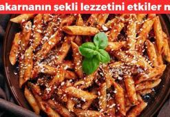 Makarnanın şekli lezzete etki eder mi? Meğer en lezzetli olanı buymuş...