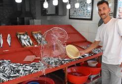Sardalya bolluğu tezgahlara olumlu yansıdı