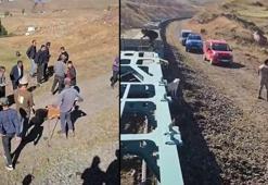 Yük treni sürüye çarptı: 5 büyükbaş öldü