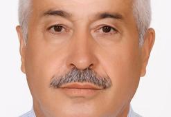 Direksiyon başında arının kurbanı oldu