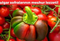 Herkes domates zannediyor ama değil! Bulgar sofralarının vazgeçilmezi: 1 kez turşusunu kuran bağımlısı oluyor