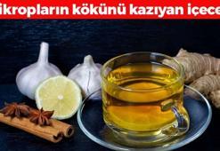 Çayını yapıp bardak bardak içince öksürük, hırıltı ve balgamı bıçak gibi kesiyor! Solunum yollarını anında açıp boğazdaki mikropların kökünü kazıyor!