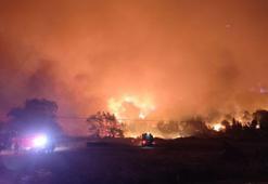 Bursa'da kabus geri döndü! Orman yangını rüzgarın etkisiyle büyüdü...