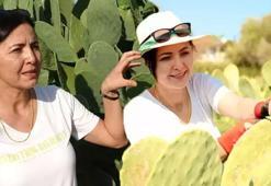 Türkiye’de bir ilk: Çevresindeki herkes alay etti! ‘Yurt dışında çok değerli’