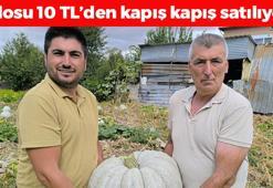 Kilosu 10 TL'den satılıyor, çorbasını yapıp kaşık kaşık yiyen 10 yıl hastalanmıyor! Potasyum, demir ve magnezyum depolarını fulleyen şifa deposu besin