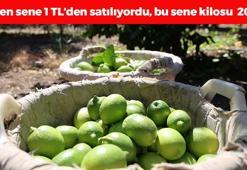 Geçen sene 1 TL'den satılıyordu bu sene fiyatı 20 TL'ye ulaştı! Tıkalı damarları yağ çözücü gibi açıyor, demir emilimini artırıyor! Böbrek taşlarını da çatır çatır kırıyor