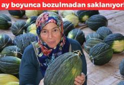 6 ay bozulmadan saklanıyor! Şimdi hasat edip kışın satacaklar: Manisa'nın incisi olarak biliniyor