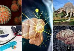 Eylül'deki bilimsel gelişmeler çığır açıyor! Mars'ta yaşama işaret eden izlerden hastalıkları öngören yapay zeka modeline