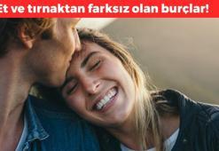 Et ve tırnak gibi olan burçlar! Onları birbirinden ayırmak mümkün değil