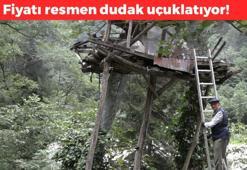 Fiyatı dudak uçuklatıyor! Karakovan balı Anzer'i solda sıfır bıraktı: 1 kaşığı ömrü uzatıyor, şişkinliği sıfırlayıp bağırsakları harıl harıl çalıştırıyor