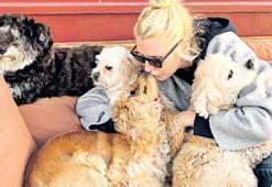 Patili canlar için gazino! 'Tüm dünyada iyilik kazanacak'