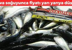Hava soğuyunca fiyatlar yarı yarıya düştü! Hamsi, çinekop, lüfer, mezgit...