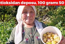 Manisa'da bereketli hasat başladı! 100 gramı 50 TL: Tıkalı damarları yağ çözücü gibi açıyor, kan şekerini terazi gibi dengeliyor! C vitamini kralı