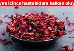 Çayını yapıp bardak bardak için! Öksürük, balgam ve hırıltıyı bıçak gibi kesiyor, boğazdaki mikrobun kökünü kazıyor! İbrahim Saraçoğlu'nun şifalı tarifi
